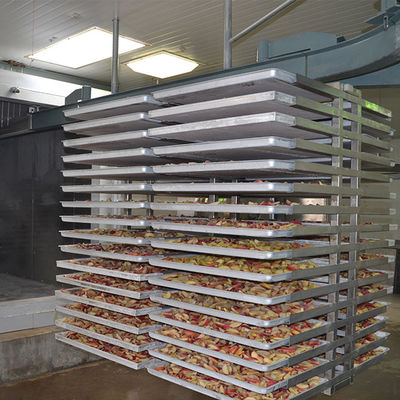 Máquina de secagem automática multifuncional de gelo 500kg
