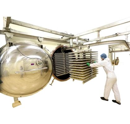 máquina de secagem de gelo 1000kg