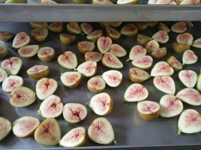 Máquina de fruto liofilizada industrial de aço inoxidável do vácuo