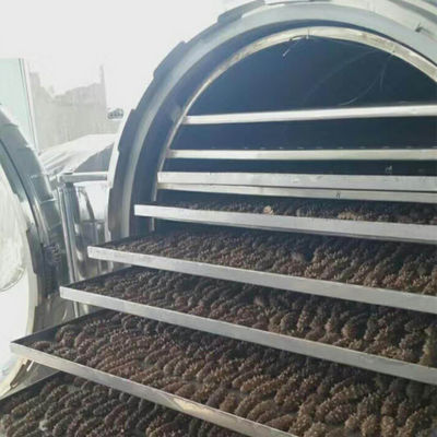 Máquina de fruto liofilizada industrial de aço inoxidável do vácuo